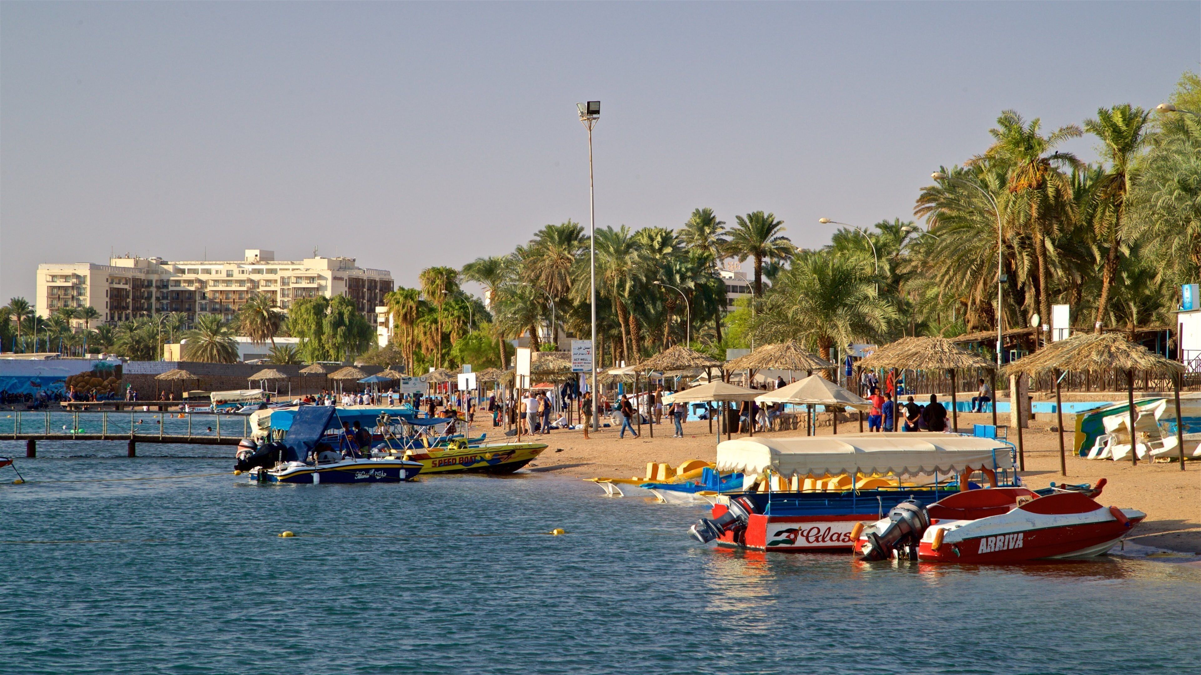 Aqaba qui includes plage, scènes tropicales et vues littorales