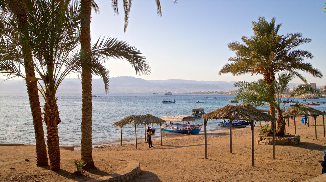 Aqaba mettant en vedette plage de sable, scĂšnes tropicales et vues littorales