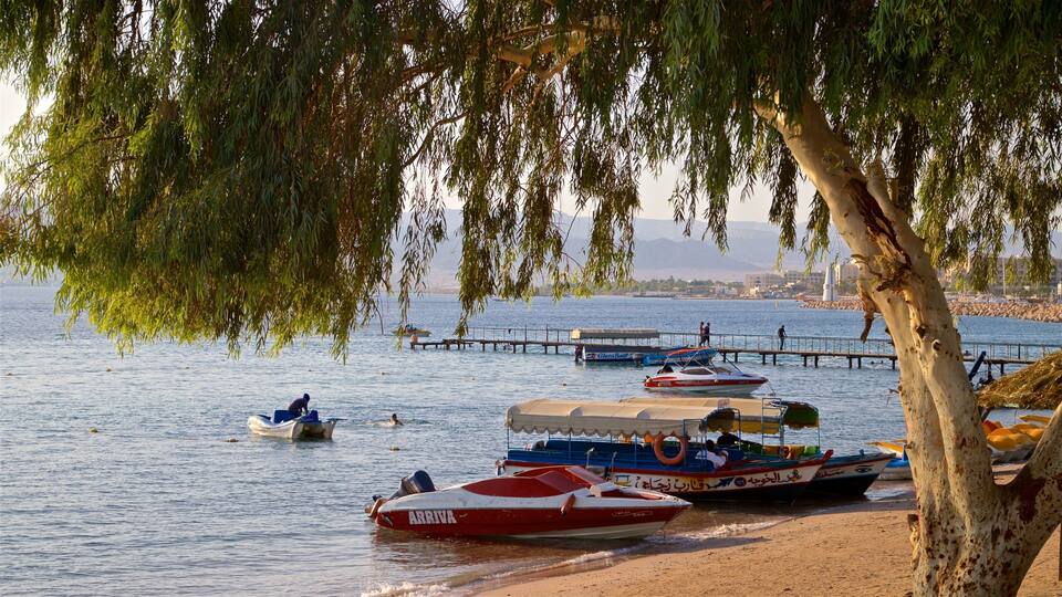 A calm waterfront with boats docked, a pier extending into the water, and a tree with hanging branches.