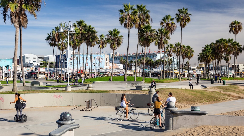 Venice Skate Park featuring a coastal town