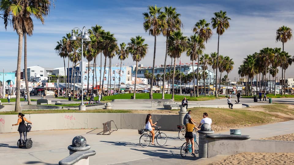 A sunny urban park with palm trees, a skate park, and a bustling street with shops and people.