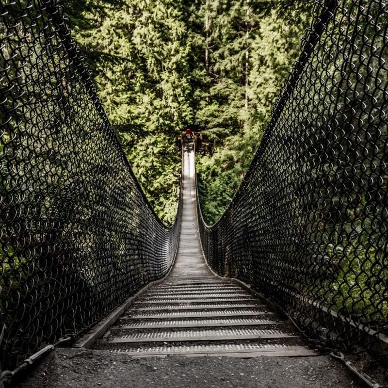 A suspension bridge with metal railings and a pathway, surrounded by dense green forest.
