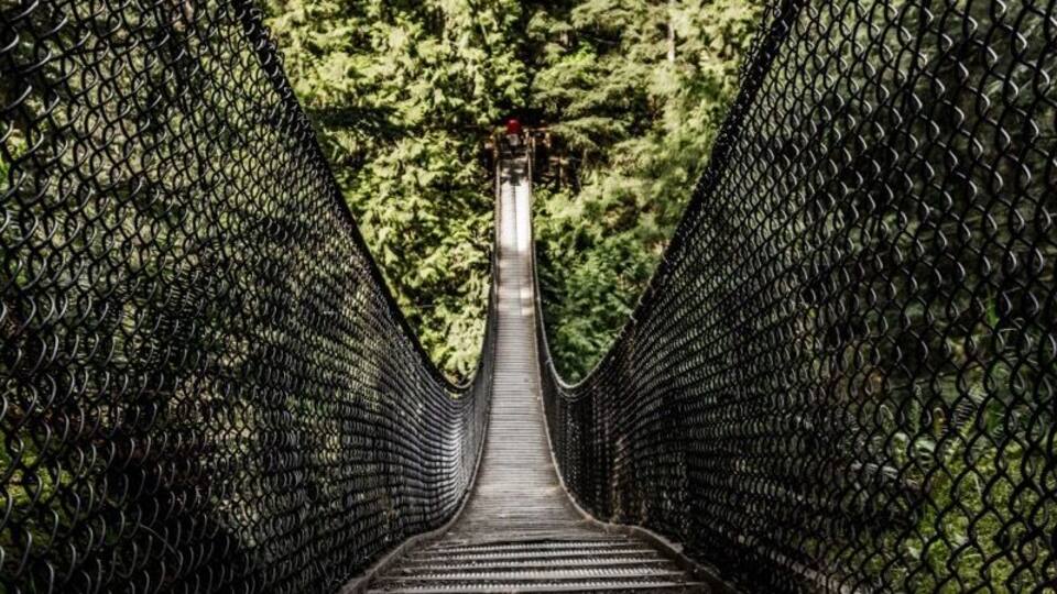 A suspension bridge with metal railings and a pathway, surrounded by dense green forest.