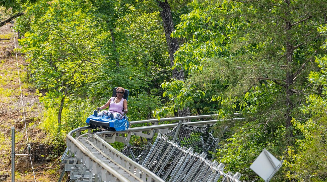 Runaway Mountain Coaster at Branson Mountain Adventure Park