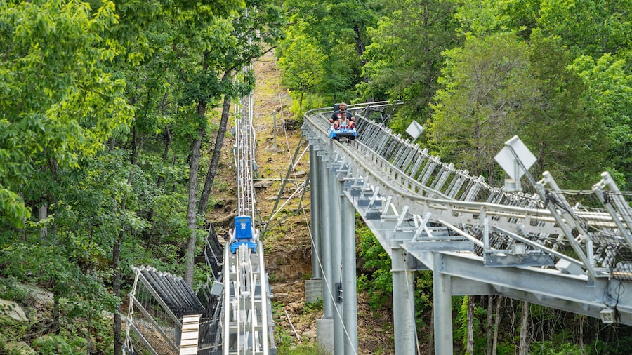 Runaway Mountain Coaster at Branson Mountain Adventure Park