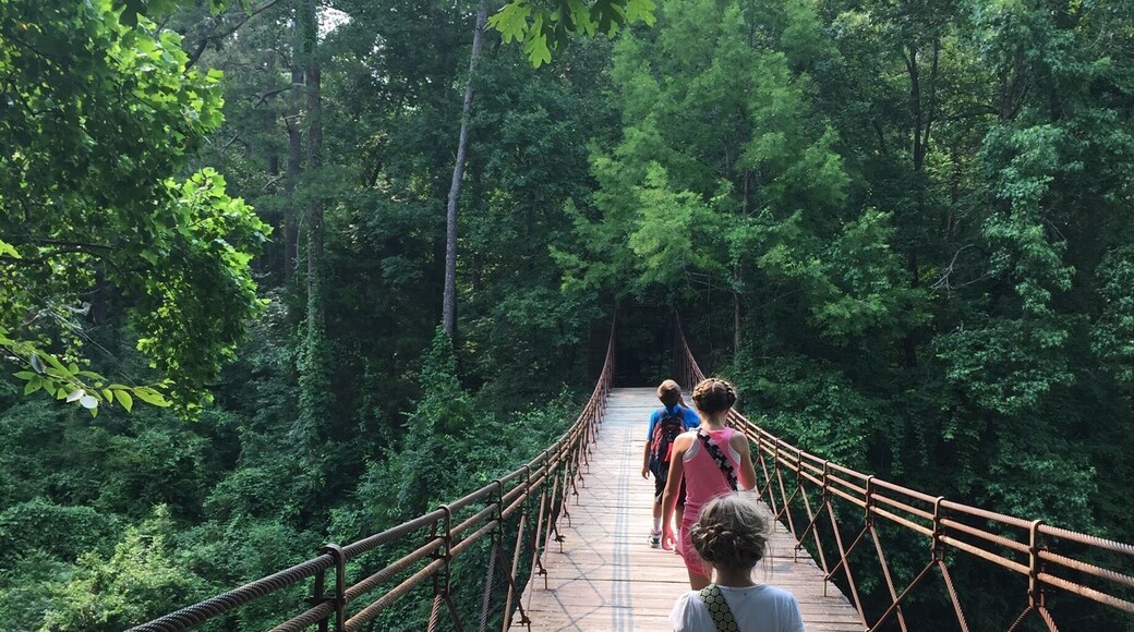 Visit Frugal Family Travelers blog to learn more about this great location, to receive the travel itinerary and to discover more great places like this:
Tishomingo State Park
(Swinging Bridge)
http://www.frugalfamilytravelers.blogspot.com/2015/07/travelin-trace-to-tishomingo.html
Follow us on:
Facebook: https://www.facebook.com/frugalfamilytravelers
Twitter: @FrugalFamTrav
#waterlust
#StunningStructures