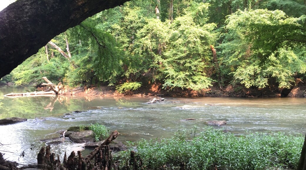 Visit Frugal Family Travelers blog to learn more about this great location, to receive the travel itinerary and to discover more great places like this:
Tishomingo State Park
http://www.frugalfamilytravelers.blogspot.com/2015/07/travelin-trace-to-tishomingo.html
Follow us on:
Facebook: https://www.facebook.com/frugalfamilytravelers
Twitter: @FrugalFamTrav
#waterlust