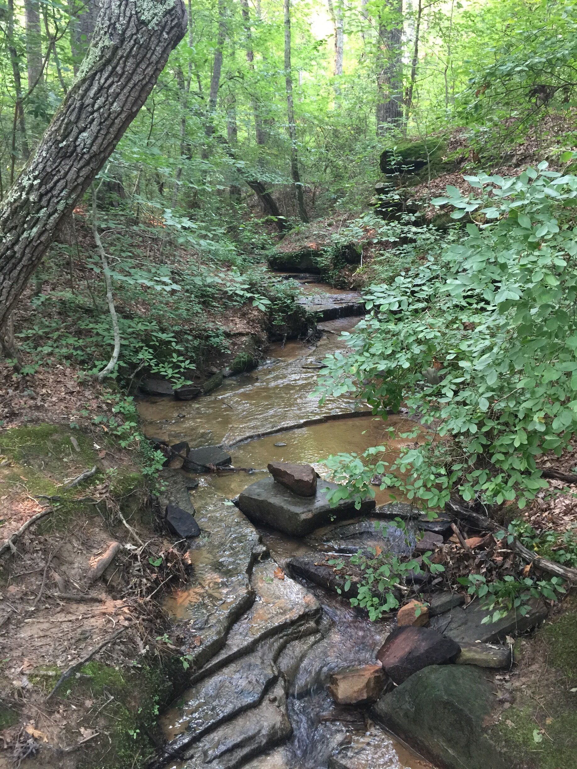 Visit Frugal Family Travelers blog to learn more about this great location, to receive the travel itinerary and to discover more great places like this:

Tishomingo State Park

http://www.frugalfamilytravelers.blogspot.com/2015/07/travelin-trace-to-tishomingo.html
Follow us on:

Facebook: https://www.facebook.com/frugalfamilytravelers

Twitter: @FrugalFamTrav

#waterlust

