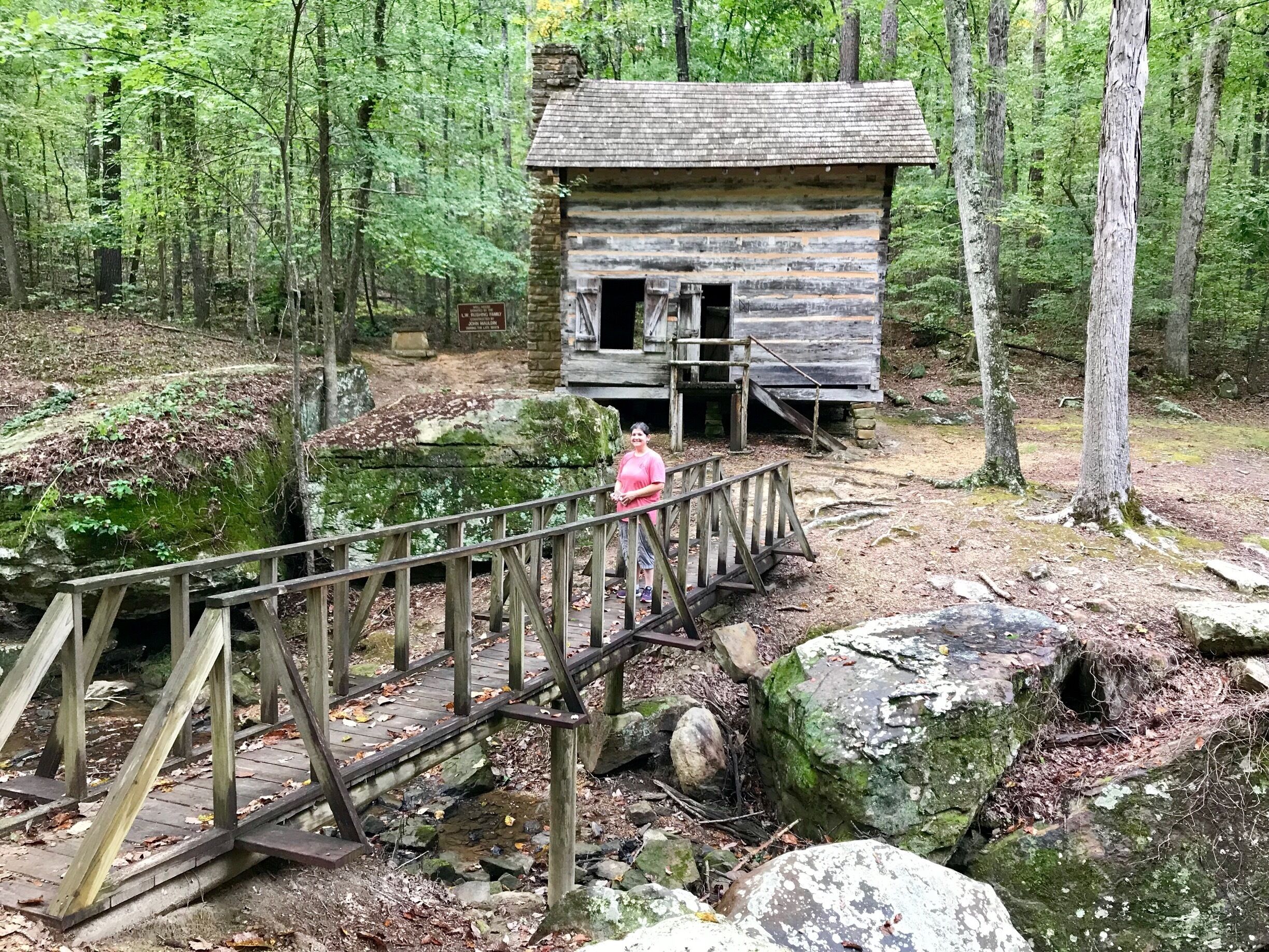 A wooden cabin in a forest with a wooden bridge leading to it.