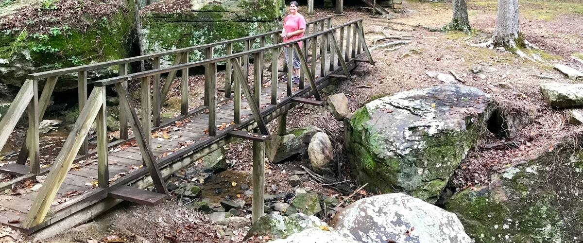 A wooden cabin in a forest with a wooden bridge leading to it.