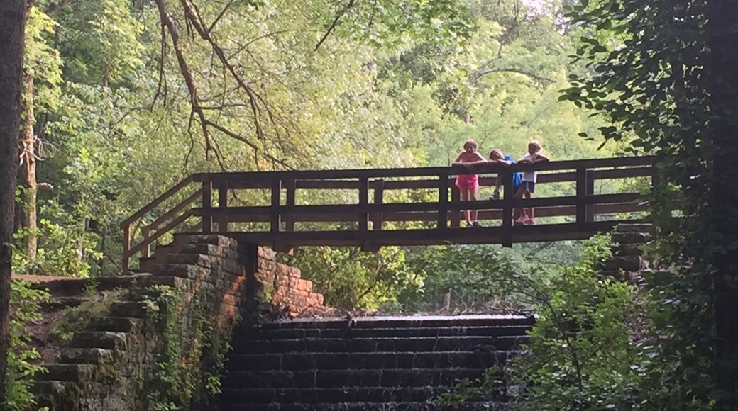 Visit Frugal Family Travelers blog to learn more about this great location, to receive the travel itinerary and to discover more great places like this:
Tishomingo State Park
(Waterfall Bridge)
http://www.frugalfamilytravelers.blogspot.com/2015/07/travelin-trace-to-tishomingo.html
Follow us on:
Facebook: https://www.facebook.com/frugalfamilytravelers
Twitter: @FrugalFamTrav
#waterlust