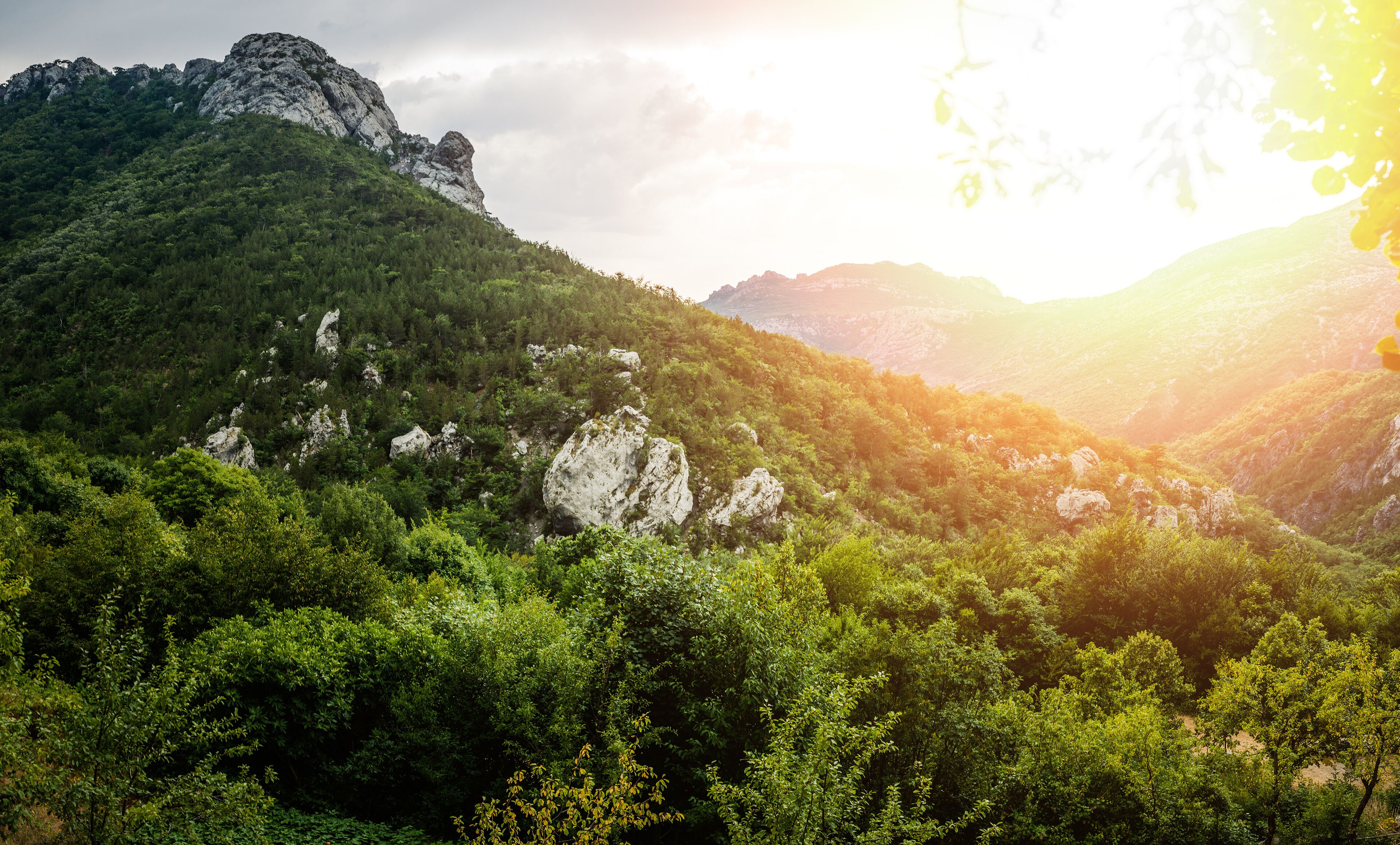 A mountainous landscape with dense green forests and rocky outcrops.