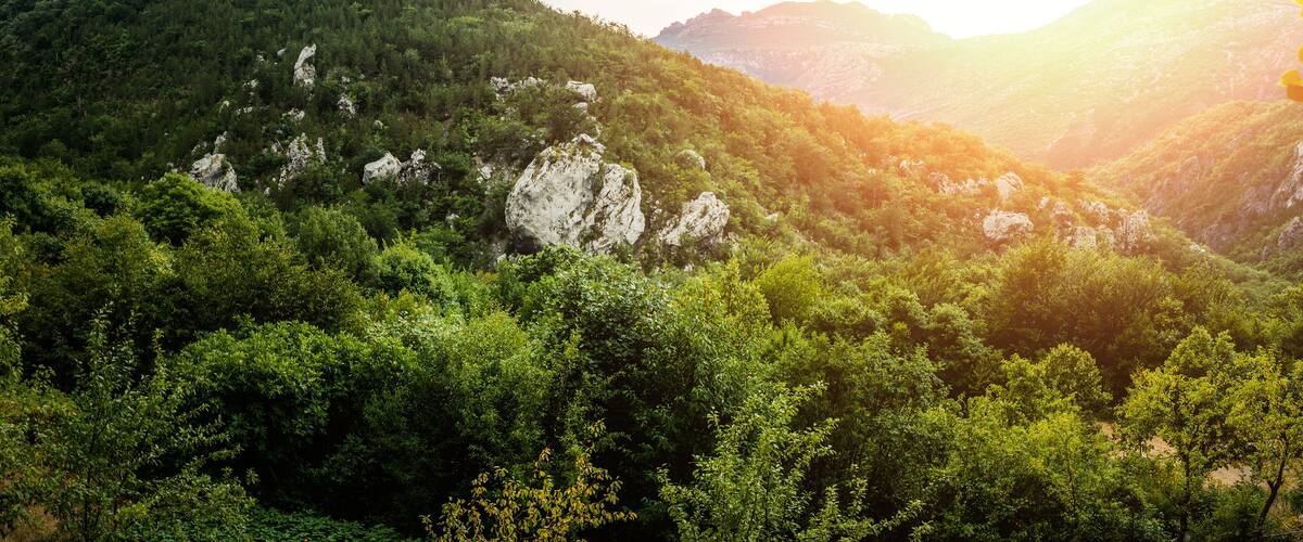 A mountainous landscape with dense green forests and rocky outcrops.
