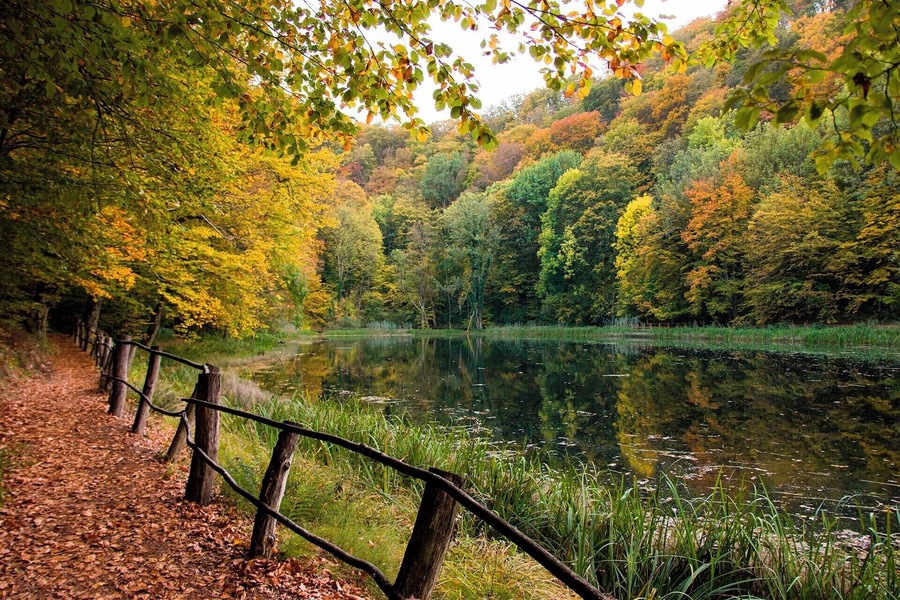 Fall in Jankovac