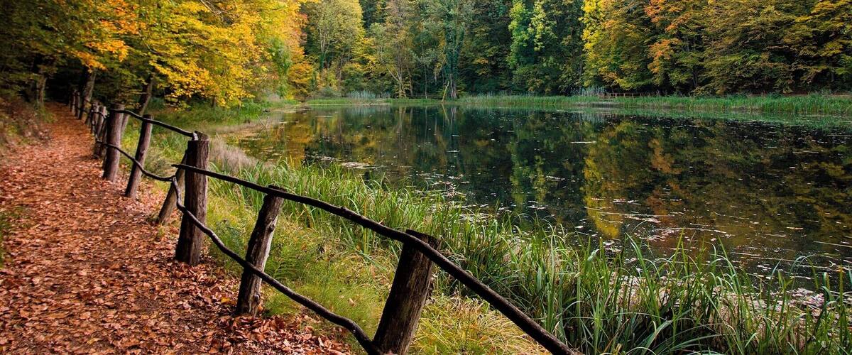 A forested area with a lake, a wooden fence, and autumn-colored trees.