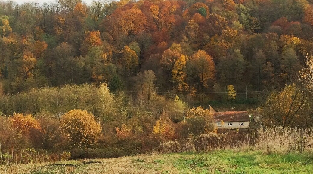 Autumn in my village