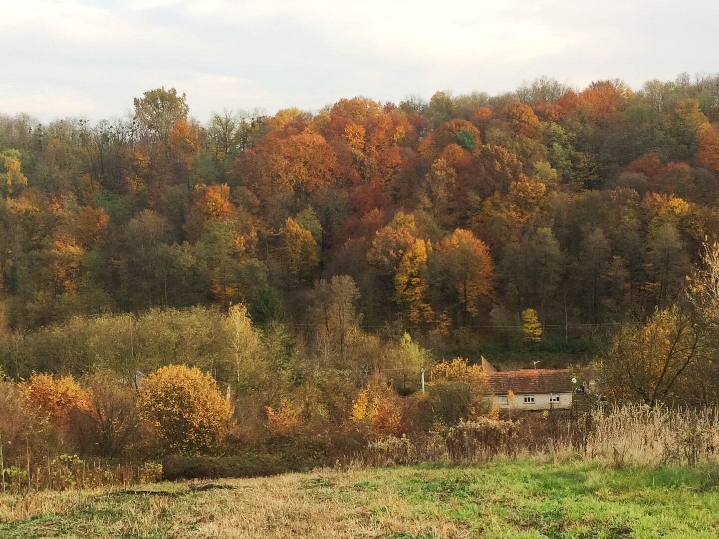 A rural landscape with a house surrounded by autumn-colored trees and a hill in the background.