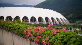 Yeonje-Gu featuring wildflowers