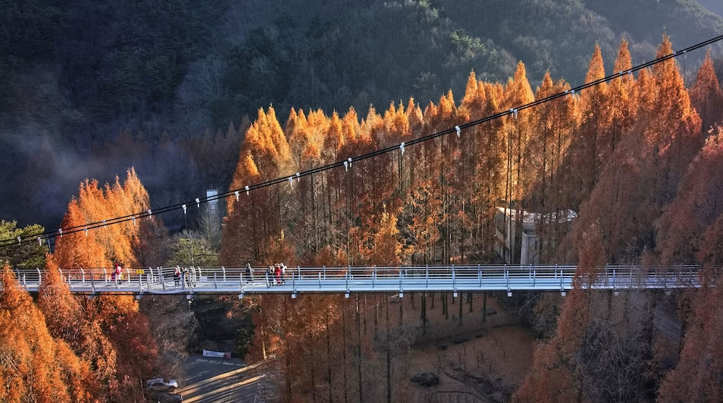 Seo-gu