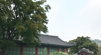 This media shows the cultural heritage monument in South Korea with the number: