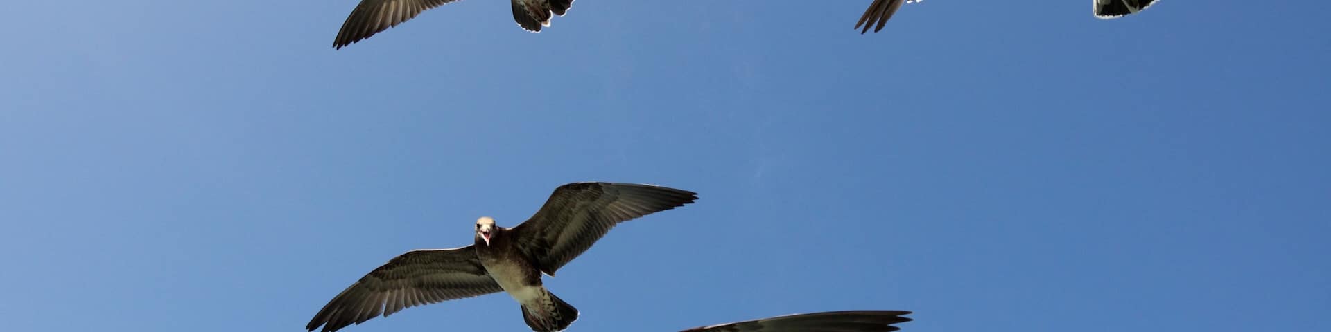 Incheon, South Korea