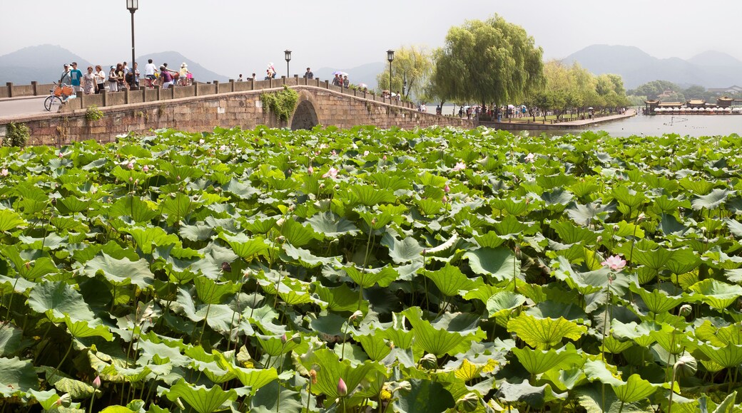 Broken Bridge, West Lake, Hangzhou