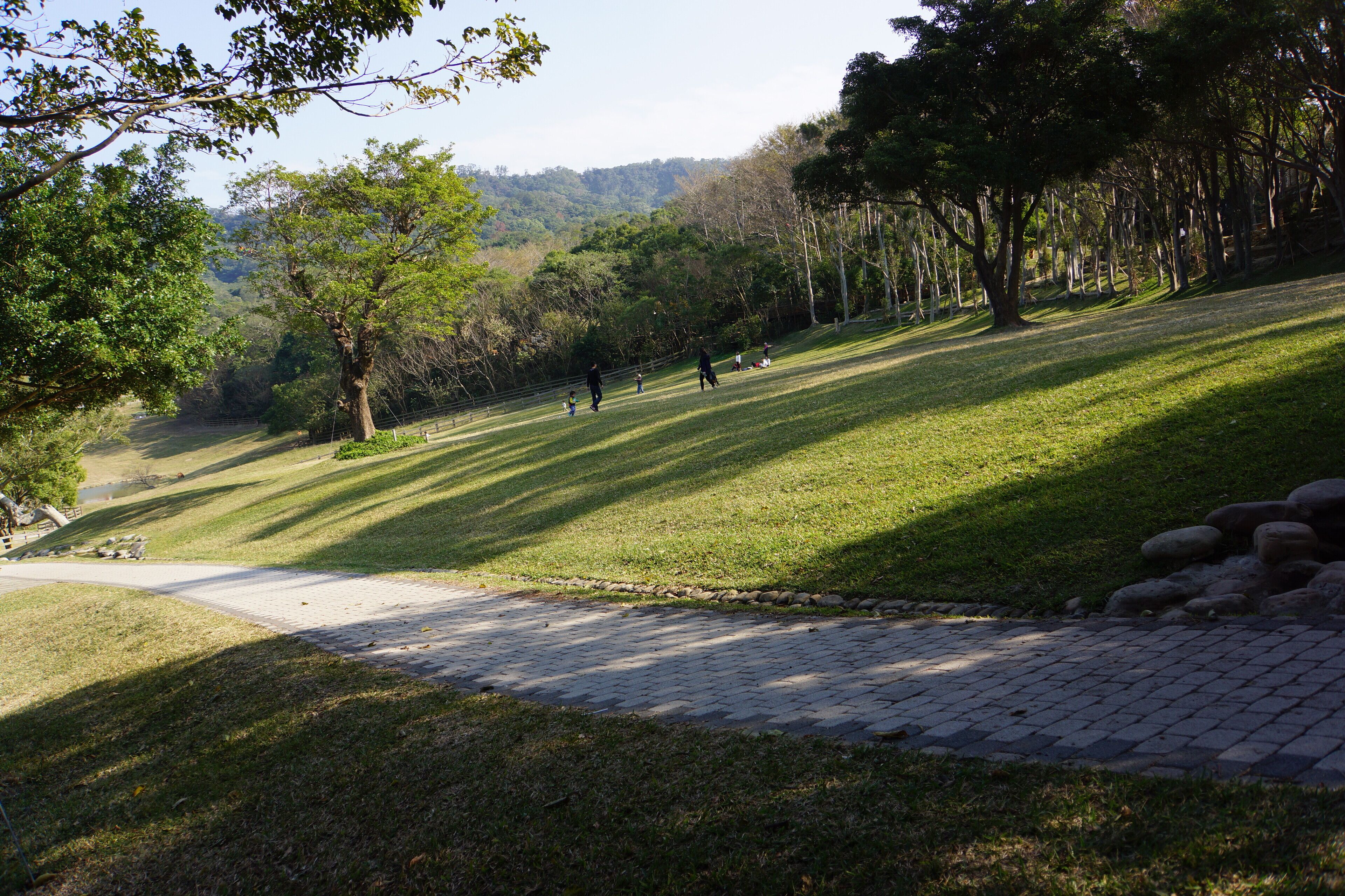 飛牛牧場 Flying Cow Ranch