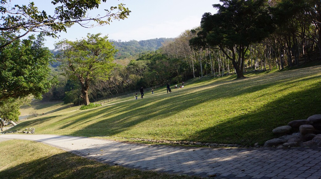 飛牛牧場 Flying Cow Ranch