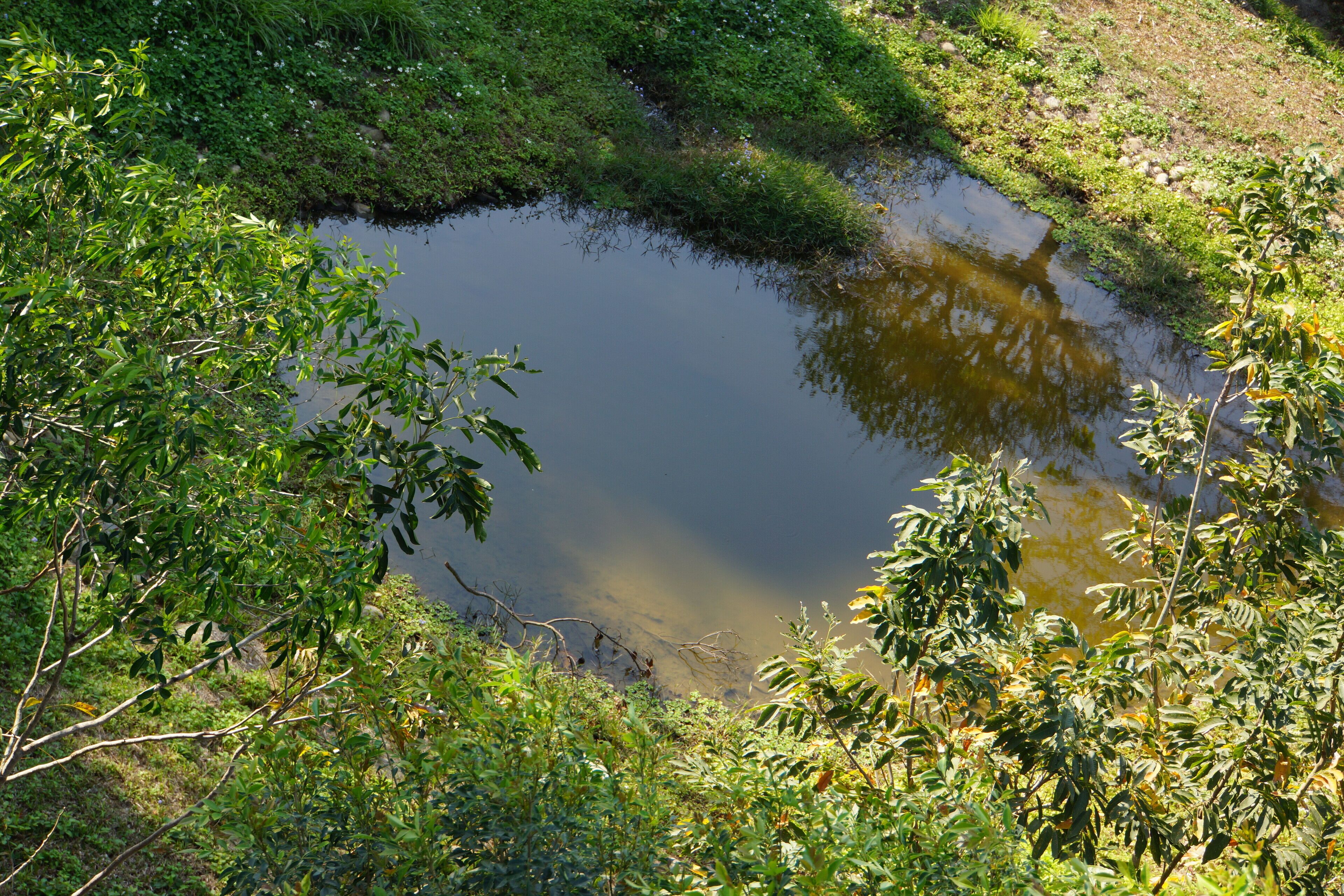 水池 Pond