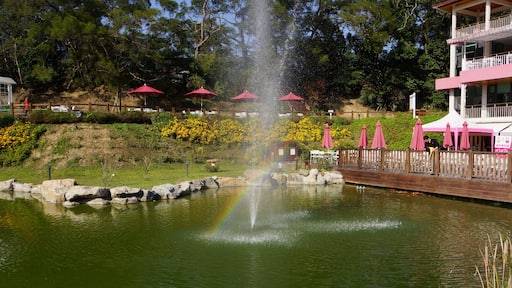 Fresh Heart Woods 心鮮森林