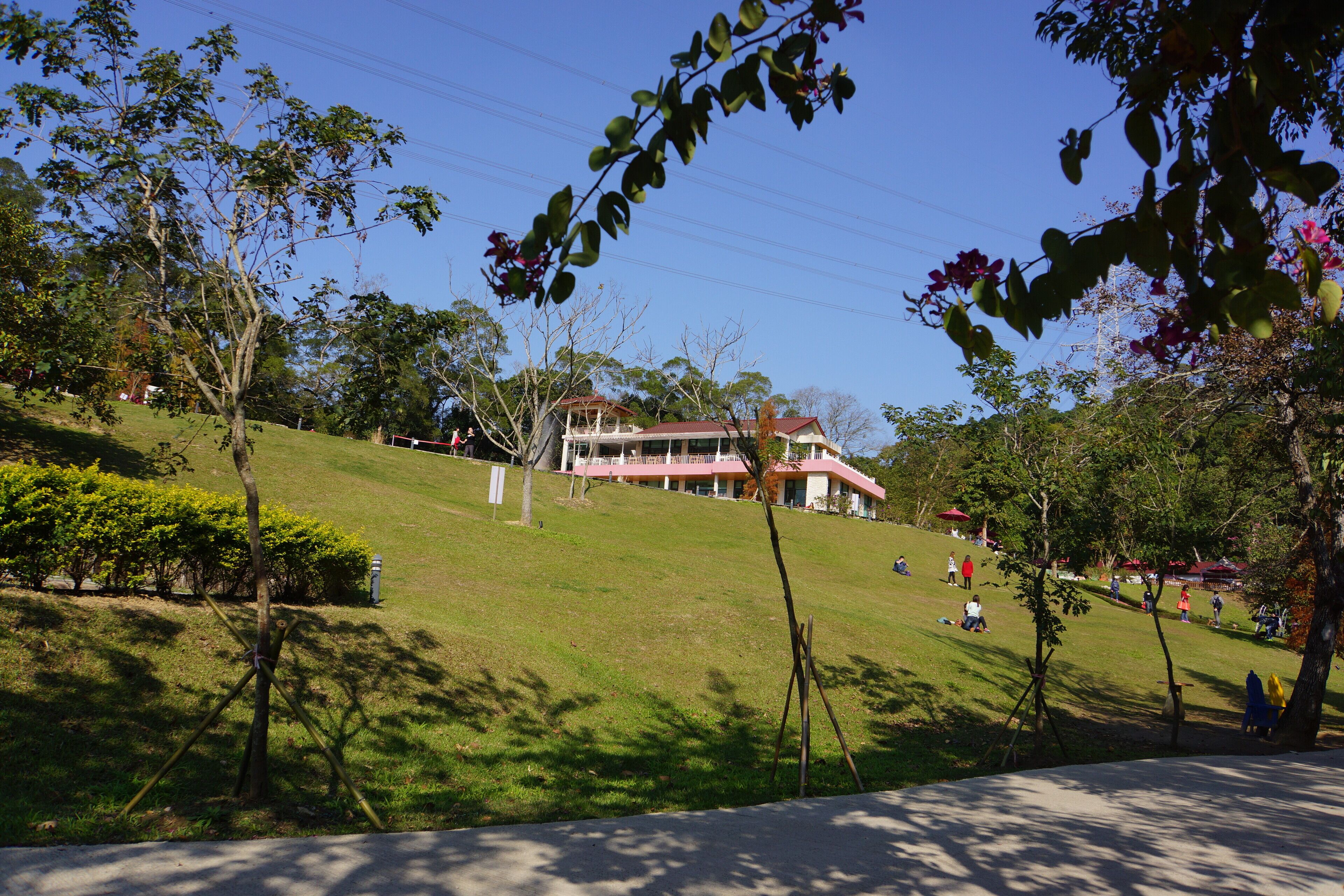 心鮮森林 Fresh Heart Woods