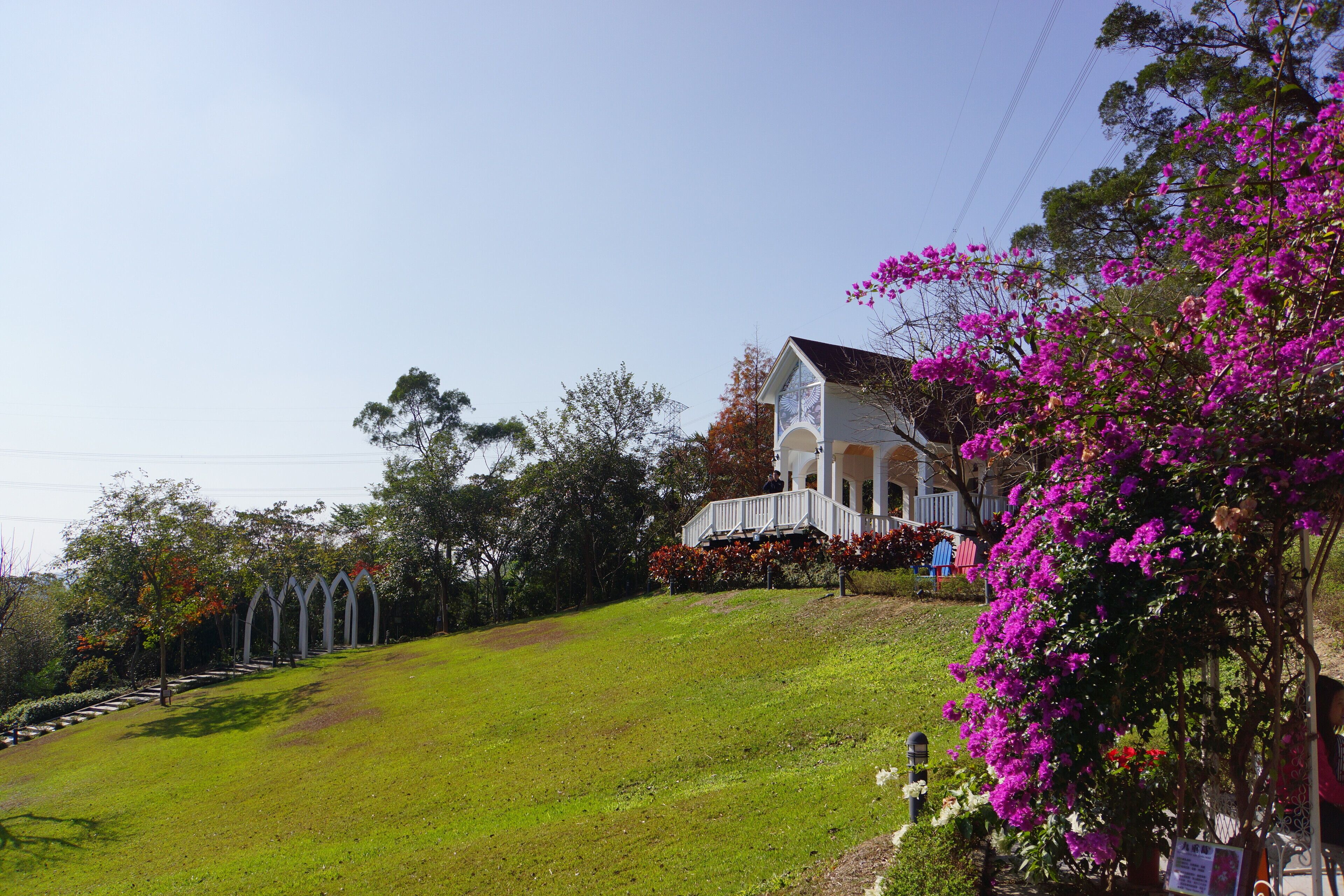 Fresh Heart Woods 心鮮森林