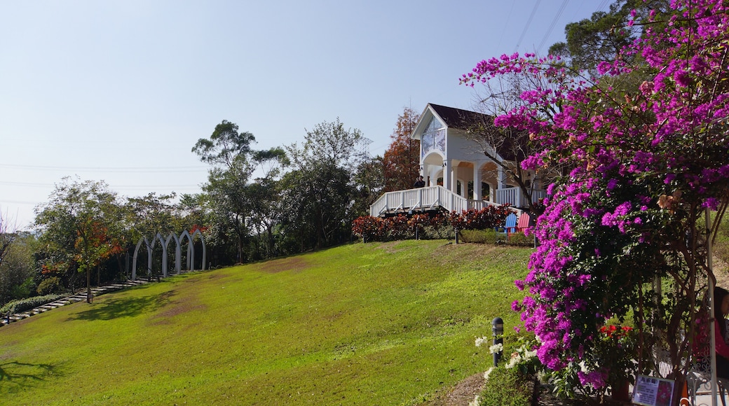 Fresh Heart Woods 心鮮森林