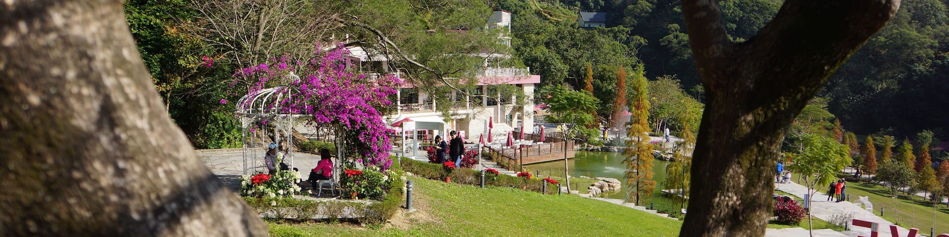 心鮮森林 Fresh Heart Forest