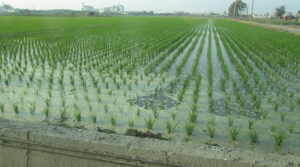 ćœ°ć瞣ç«čćĄé