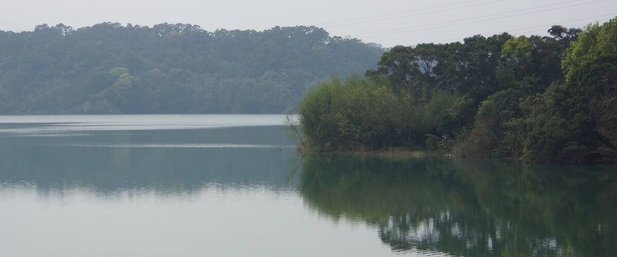 A calm lake with dense forest on the right and a misty hill in the background.