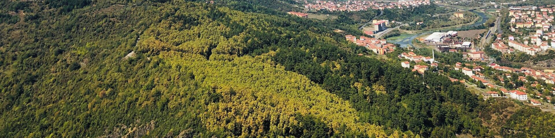 View from the terace