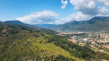 View from the terace