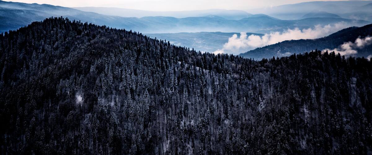 A mountainous landscape with dense forests and a clear sky.