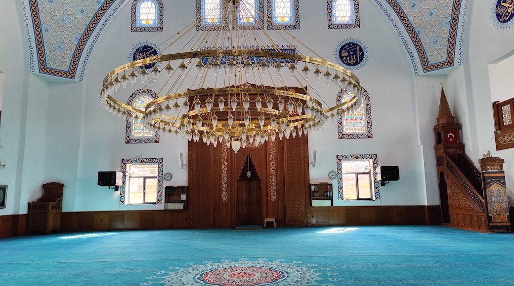 Divine Craftsmanship: The Tranquil Beauty of Islamic Art Inside a Mosque