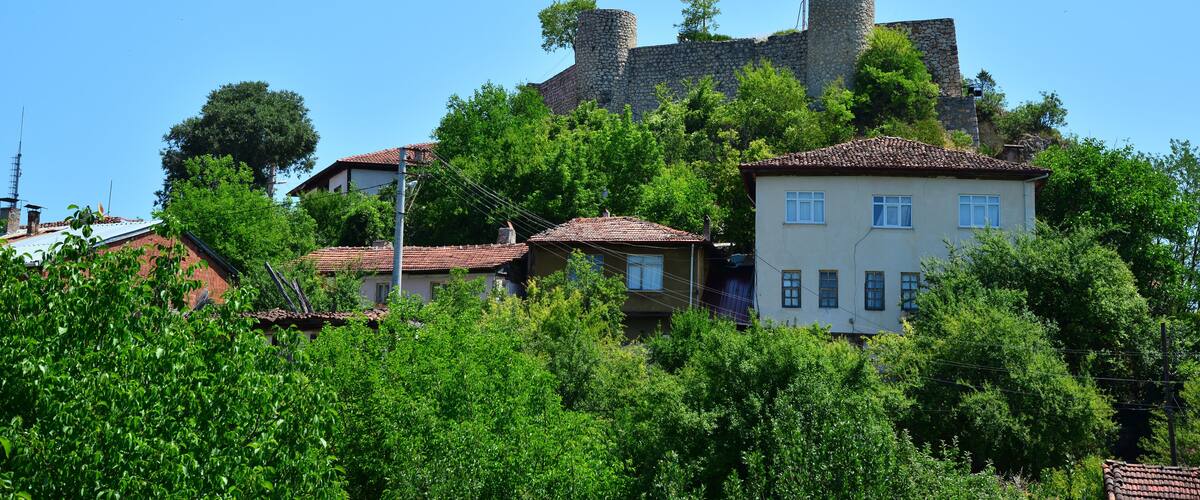 A hillside with a stone tower, houses, and a flag.