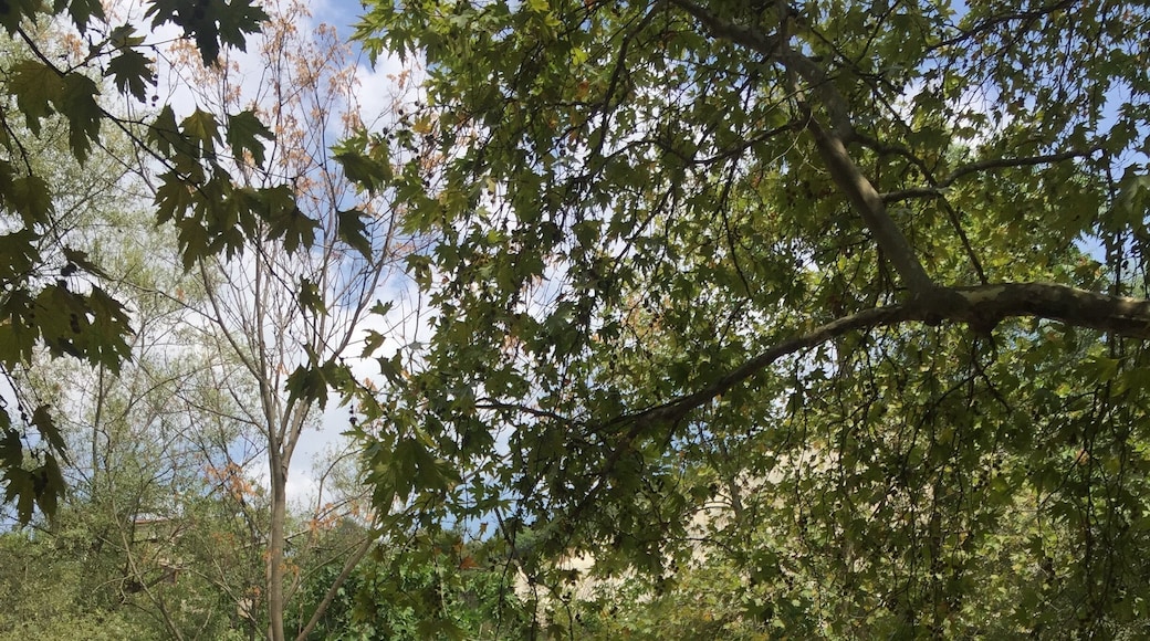 Ù
Ű·ŰčÙ
ÙÙ Ù
ÙŰ·ÙŰ© Ù
ÙŰłÙ ÙÙÙ