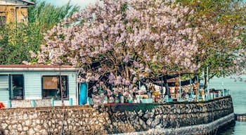 Daily life in Golyazi fishing village with boats and people, Bursa, Turkey