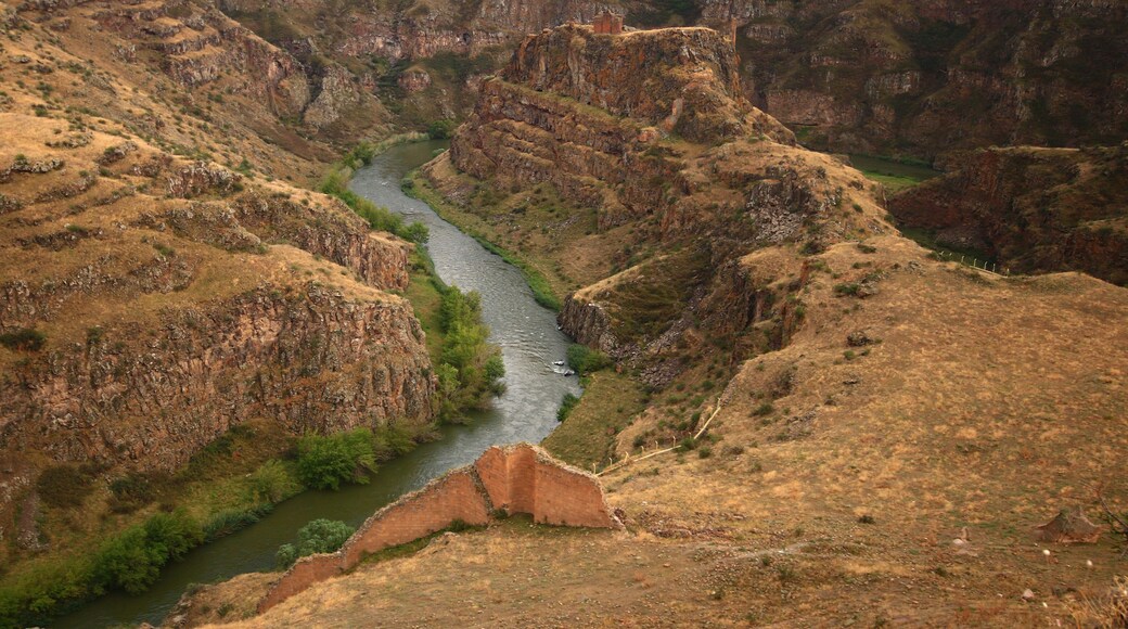 The Aras or Araxes is a river that starts in Turkey and then flows along the borders between Turkey and Armenia.