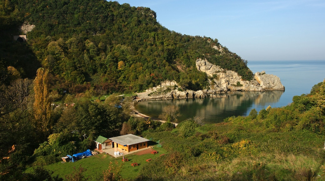 Kozlu - Zonguldak / TURKEY