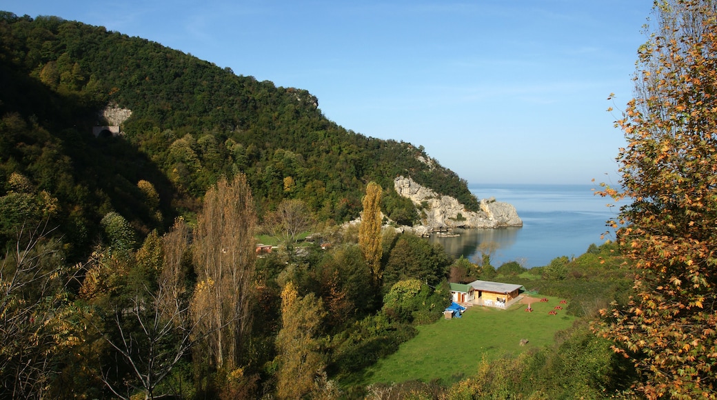 Kozlu - Zonguldak / TURKEY