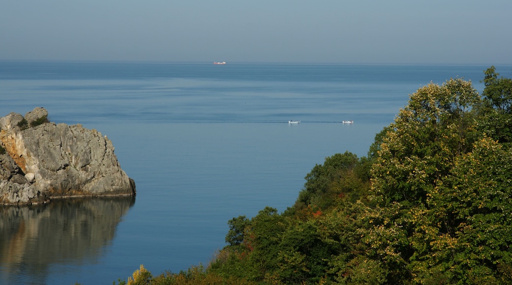 Kozlu - Zonguldak / TURKEY