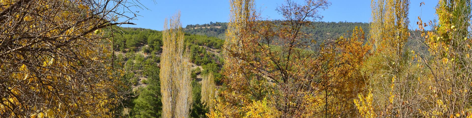 Traktör ve köy yolu