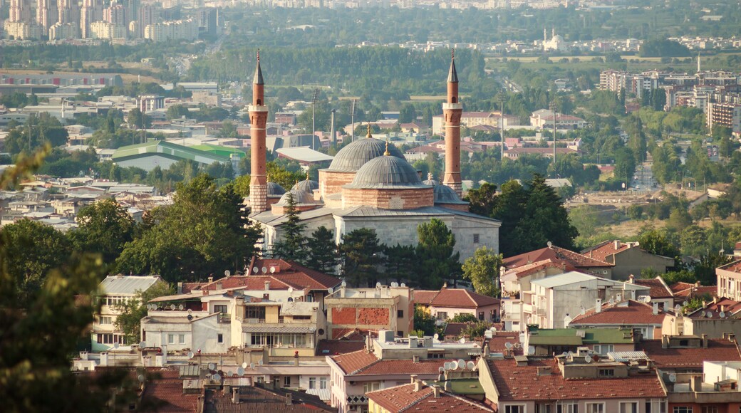 Un paisaje urbano con cúpulas y minaretes de mezquitas destacadas, rodeado de edificios residenciales y zonas verdes.