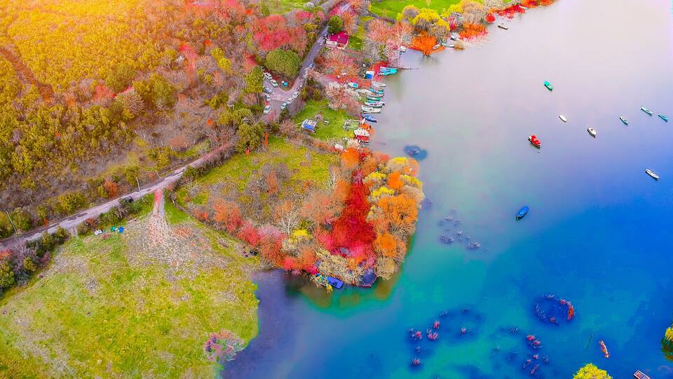 An aerial view of a coastal area with colorful autumn foliage, a road, and several boats on the water.